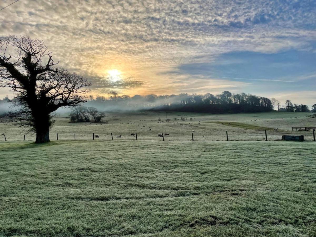 Apartmán Cottars Winfrith Newburgh Exteriér fotografie