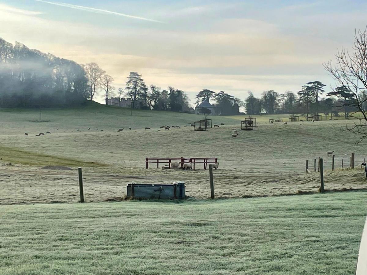 Apartmán Cottars Winfrith Newburgh Exteriér fotografie
